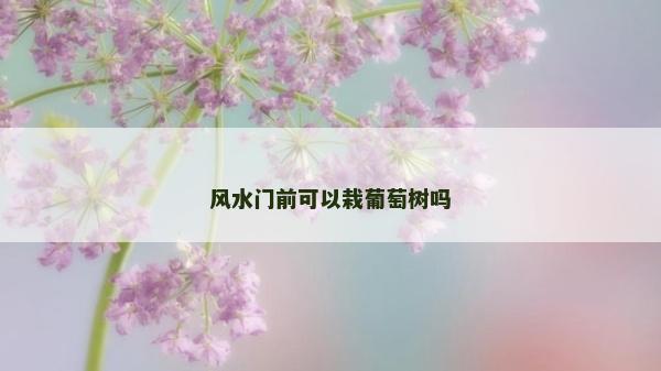 风水门前可以栽葡萄树吗