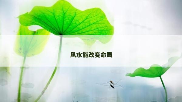 风水能改变命局