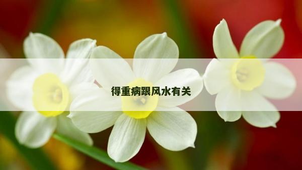 得重病跟风水有关