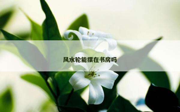 风水轮能摆在书房吗