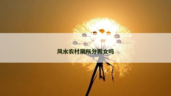 风水农村厕所分男女吗