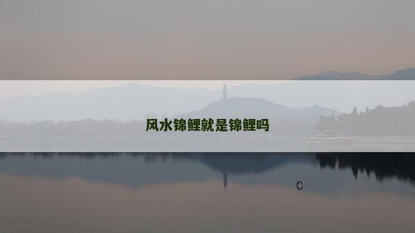风水锦鲤就是锦鲤吗