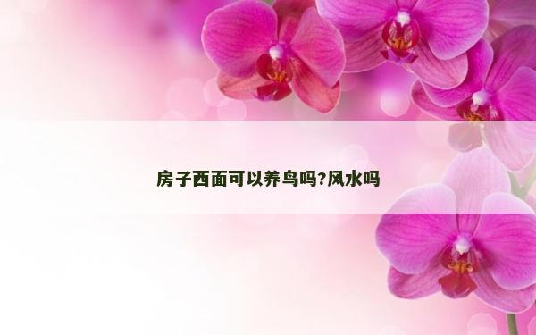 房子西面可以养鸟吗?风水吗
