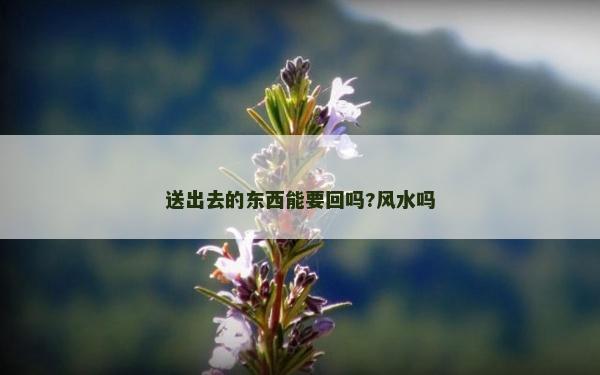 送出去的东西能要回吗?风水吗