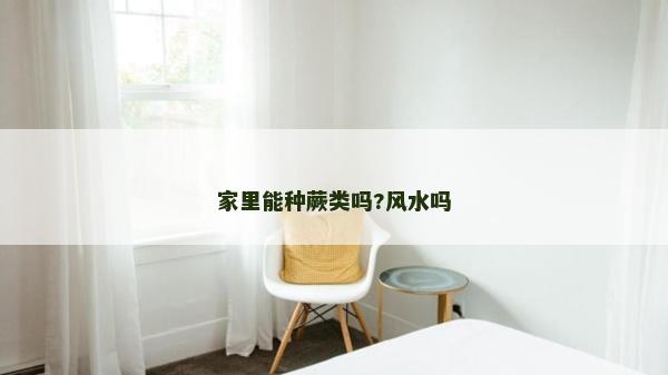 家里能种蕨类吗?风水吗
