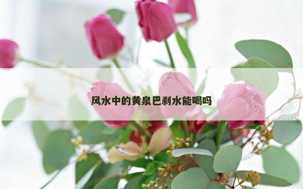 风水中的黄泉巴刹水能喝吗
