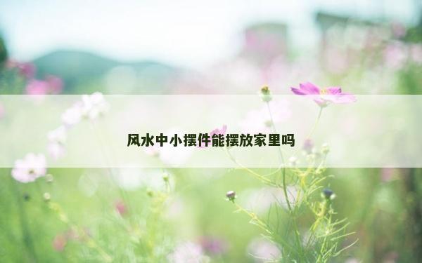 风水中小摆件能摆放家里吗