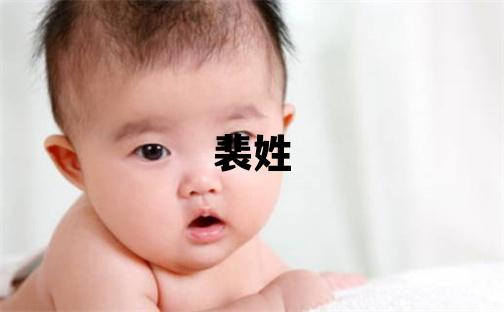 裴姓有创意的女孩名字,取什么名字好