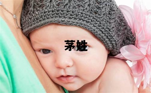 茅姓吉利的男孩名字,取什么名字好