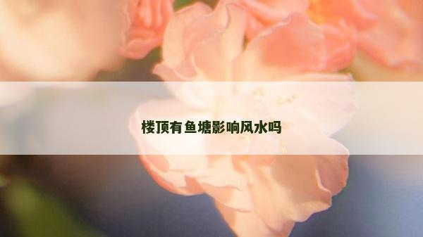 楼顶有鱼塘影响风水吗