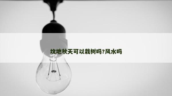 坟地秋天可以栽树吗?风水吗