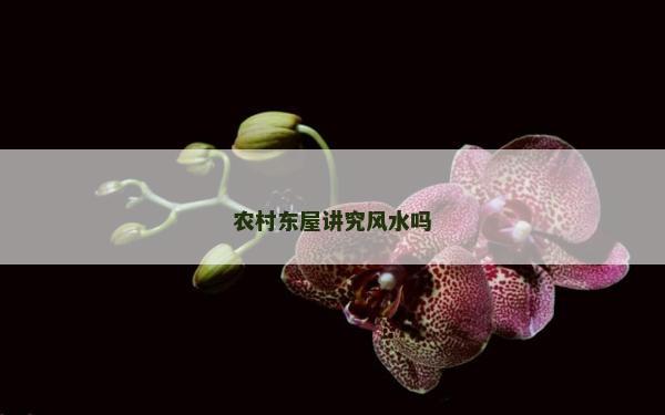 农村东屋讲究风水吗