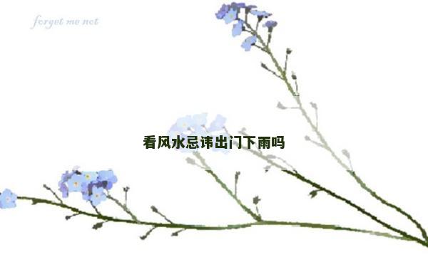 看风水忌讳出门下雨吗