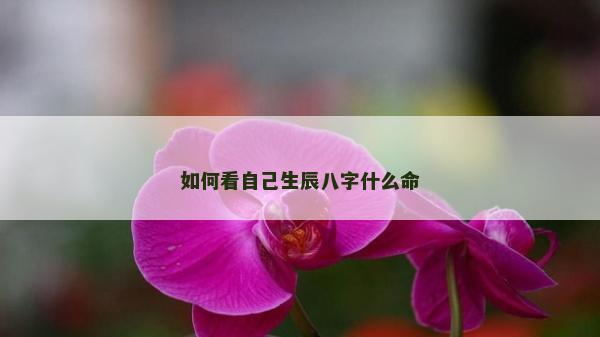 如何看自己生辰八字什么命
