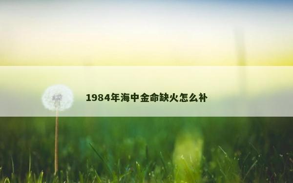 1984年海中金命缺火怎么补