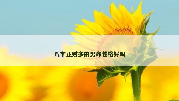 八字正财多的男命性格好吗