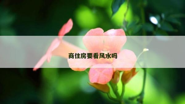 商住房要看风水吗