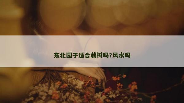 东北园子适合栽树吗?风水吗