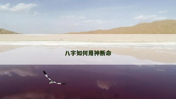 八字如何用神断命