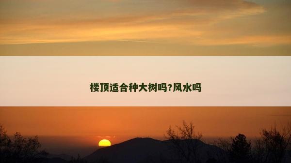 楼顶适合种大树吗?风水吗