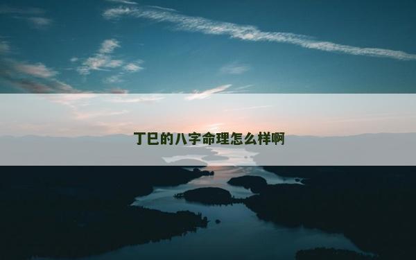 丁巳的八字命理怎么样啊