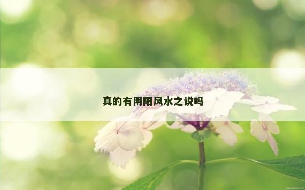 真的有阴阳风水之说吗