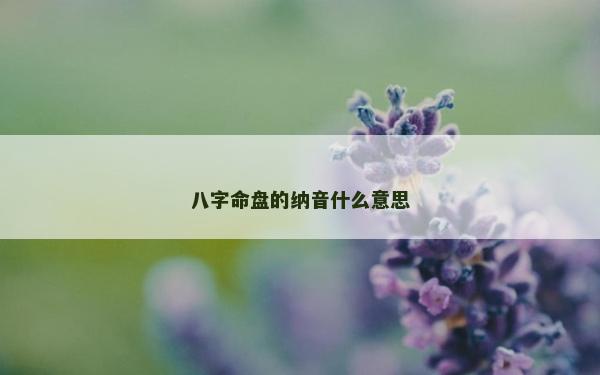 八字命盘的纳音什么意思