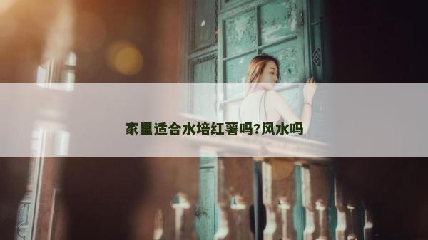家里适合水培红薯吗?风水吗