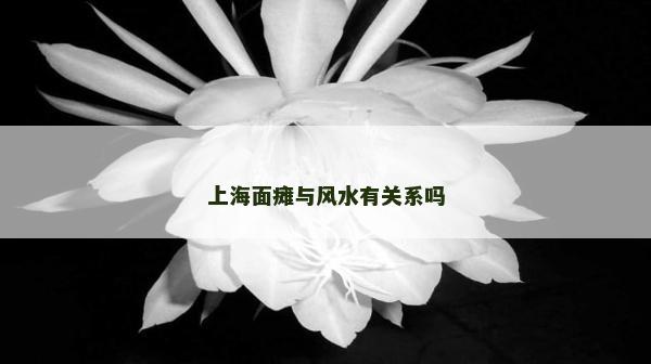 上海面瘫与风水有关系吗