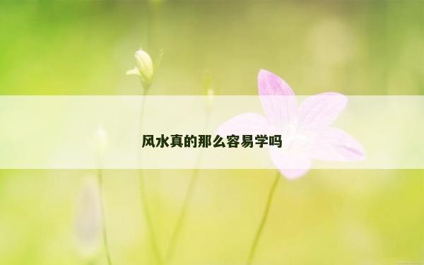 风水真的那么容易学吗