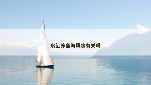水缸养鱼与风水有关吗