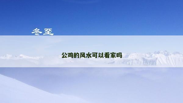 公鸡的风水可以看家吗