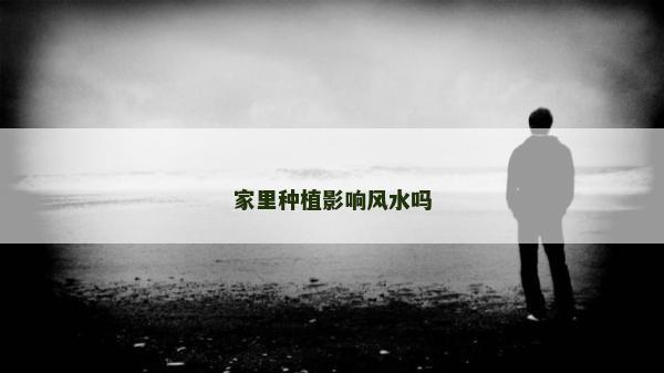 家里种植影响风水吗