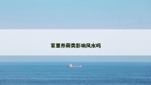家里养蕨类影响风水吗
