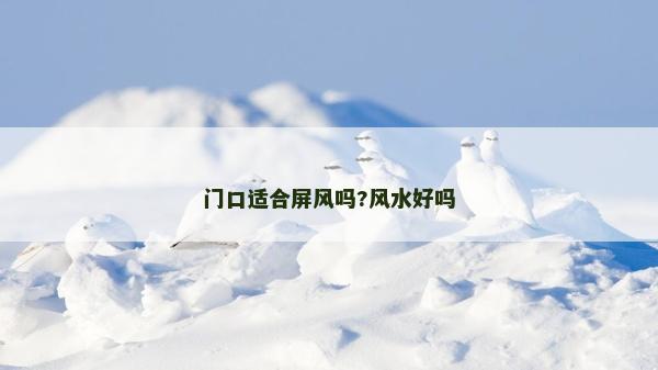 门口适合屏风吗?风水好吗