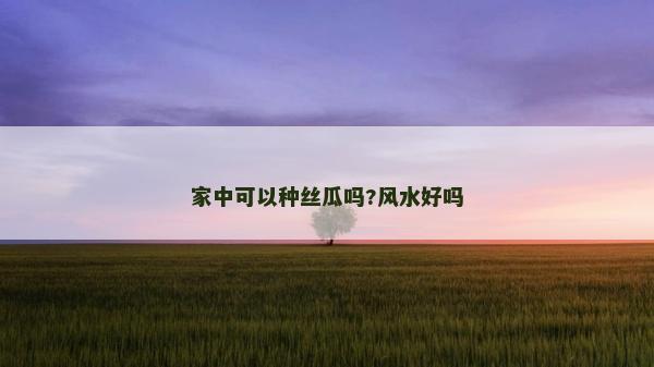 家中可以种丝瓜吗?风水好吗