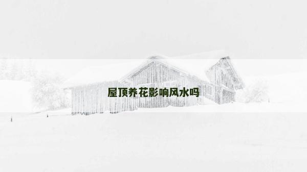 屋顶养花影响风水吗
