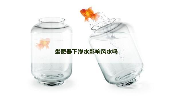 坐便器下渗水影响风水吗
