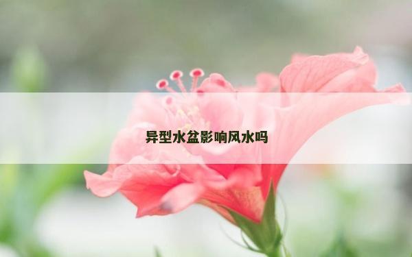 异型水盆影响风水吗