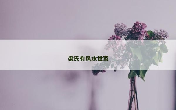 梁氏有风水世家