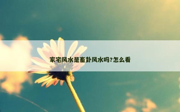 家宅风水是畜卦风水吗?怎么看