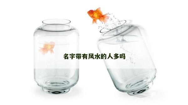 名字带有风水的人多吗