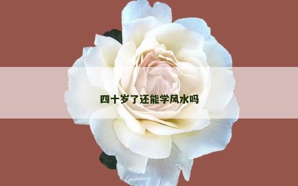 四十岁了还能学风水吗