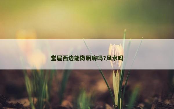 堂屋西边能做厨房吗?风水吗