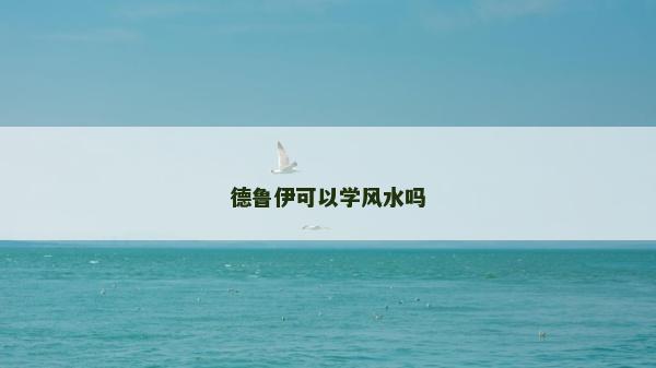 德鲁伊可以学风水吗