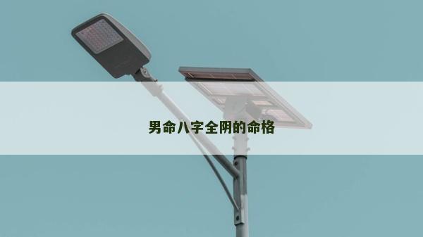 男命八字全阴的命格