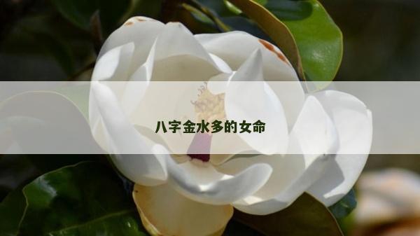 八字金水多的女命