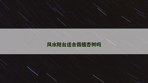 风水阳台适合栽植杏树吗