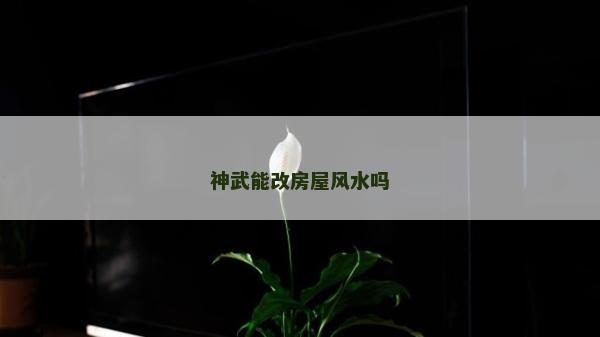 神武能改房屋风水吗