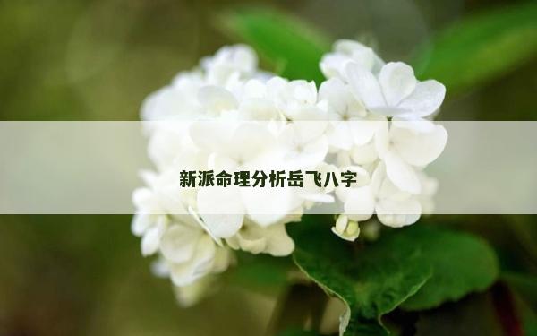 新派命理分析岳飞八字